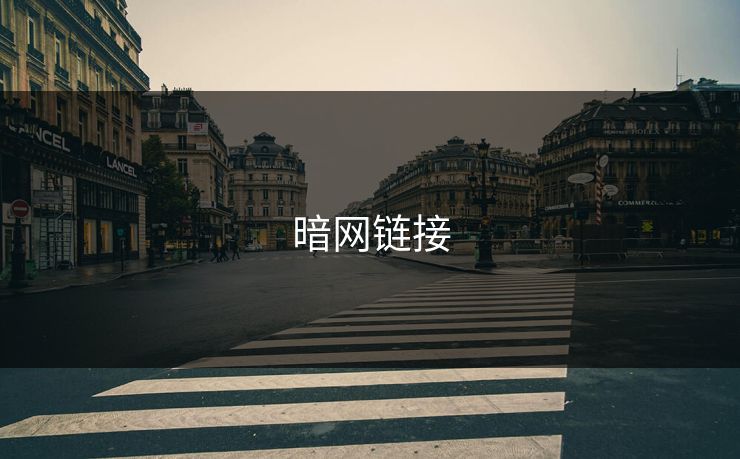 暗网链接 暗网链接