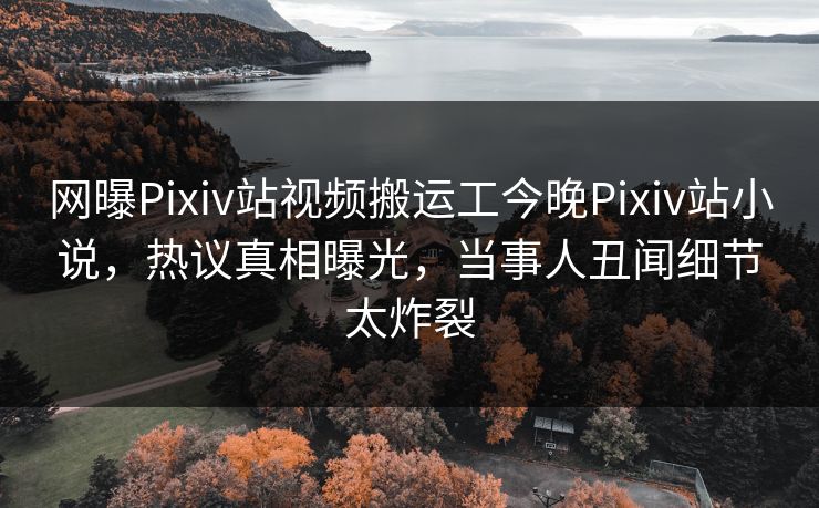 网曝Pixiv站视频搬运工今晚Pixiv站小说，热议真相曝光，当事人丑闻细节太炸裂