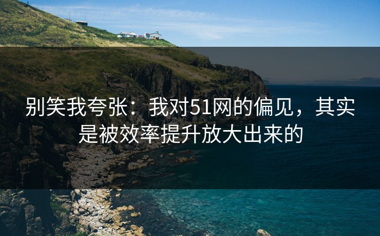 别笑我夸张：我对51网的偏见，其实是被效率提升放大出来的