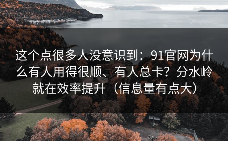 这个点很多人没意识到：91官网为什么有人用得很顺、有人总卡？分水岭就在效率提升（信息量有点大）